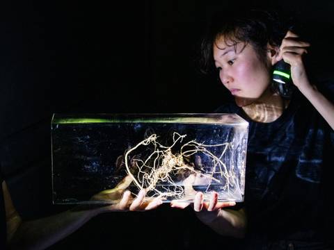 Fachtag: Aesthetics of Access im Figurentheater