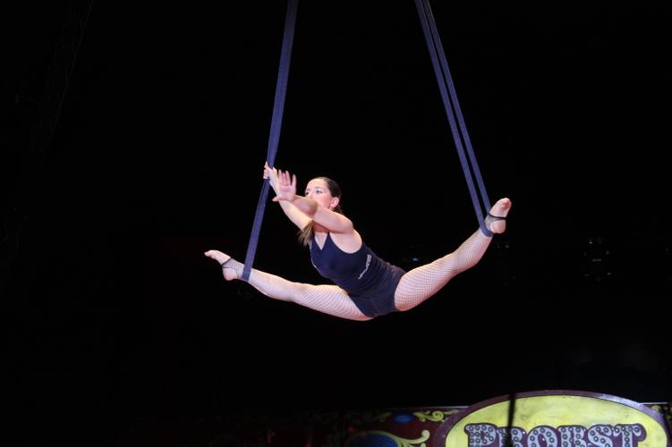 Scenic Circus: Diaries in Motion