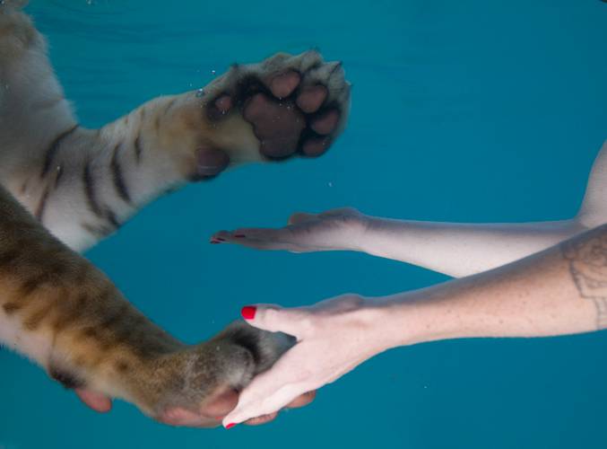 Jessica Segall, (un)common intimacy, 2018, Film still