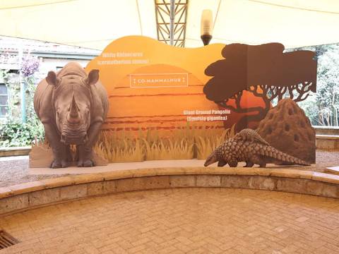Co-MammalHub am Nairobi National Museum: Bühne für Storytelling Wettbewerb, Juni 2026, Kilibasi Design Studio,