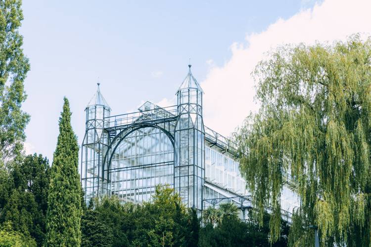 Botanischer Garten