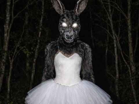 © Bjørn de Wildt/KI