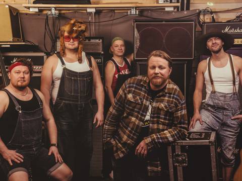 Steve 'n' Seagulls