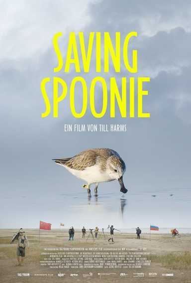 Filmplakat Saving Spoonie
