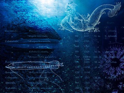Die Tiefsee, Gezeichnet und Vermessen – Eine Collage von Tiefsee-Motiven aus Wissenschaft und Kultur. Unter anderem Illustrationen von Tiefsee-Lebewesen wie Schwämmen und Fischen, aber auch eine Bathysphere (Tauchkapsel). Im Hintergrund ein Farbverlauf von blau oben zu schwarz unten.