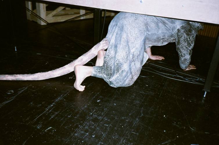 Person in einem grauen, pelzigen Kostüm mit langem rosa Schwanz kriecht auf allen Vieren über einen dunklen Boden unter einem Tisch.