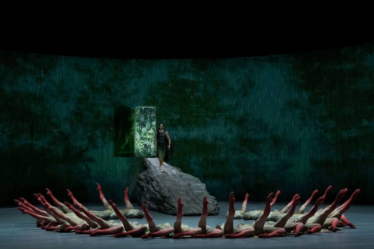 Ein Sommernachtstraum