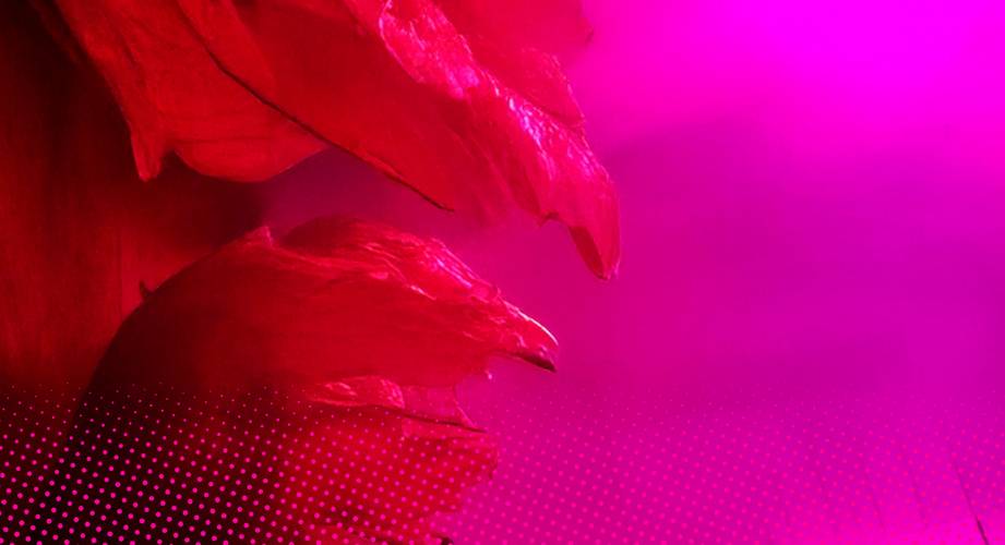 Grafik Header Spielzeit 25/26