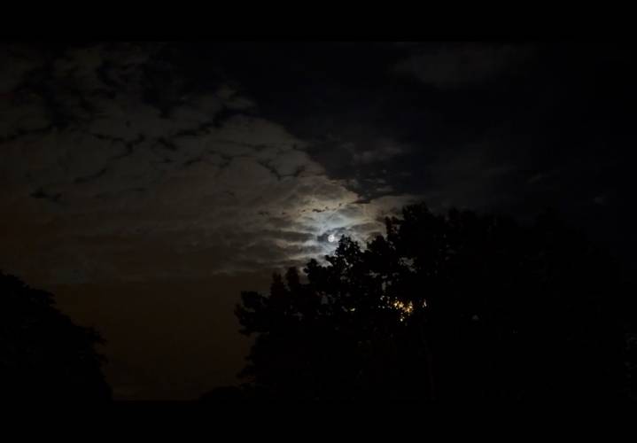 The moon captured during Yara Mekawei and Amir Rezk’s listening session, Moon Meat Lyrical (2026). Foto: Qu Chang – Nachthimmel mit Wolken und Vollmond hinter Bäumen, der schwaches Licht durch die Wolken hindurchscheinen lässt.