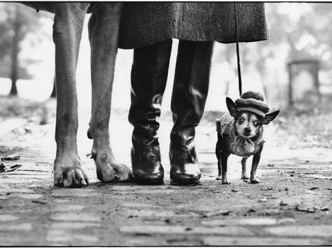 Felix, Gladys and Rover, New York, USA, 1974 © Elliott Erwitt. Magnum Photos / Die Magie der Straße. Meisterwerke der Street Photography aus dem Leica Archiv.