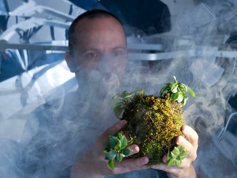Carbon Negative