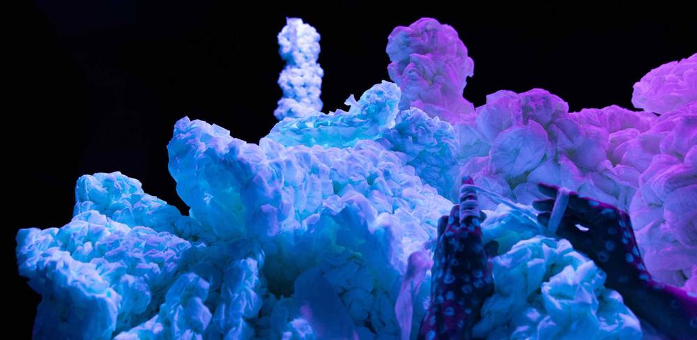 „Imagine: Coral Reef“, Ausstellungsansicht