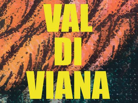 Valdiviana von Birgit Heitfeld, Collage aus Elementen des Buchcovers, Gestaltung des Covers: Coco Meurer, Literaturensohn