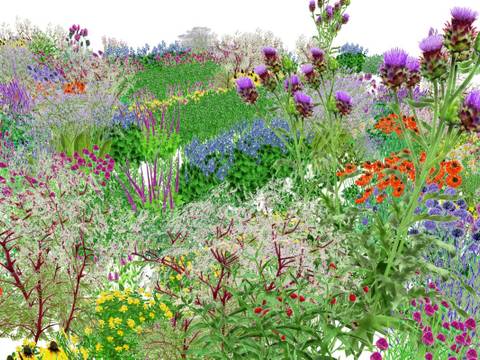 Pollinator Pathmaker