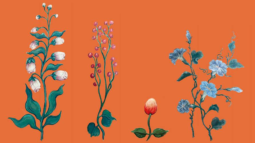 Blumenmotive auf einem Cembalo – Blumenmotive auf einem Cembalo