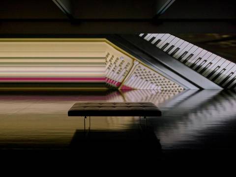 Ryuichi Sakamoto & Shiro Takatani, async–immersion tokyo, 2024, Installationsnansicht „Ryuichi Sakamoto | seeing sound, hearing time“, Museum of Contemporary Art Tokyo (MOT) 2024