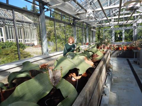 Botanischer Garten