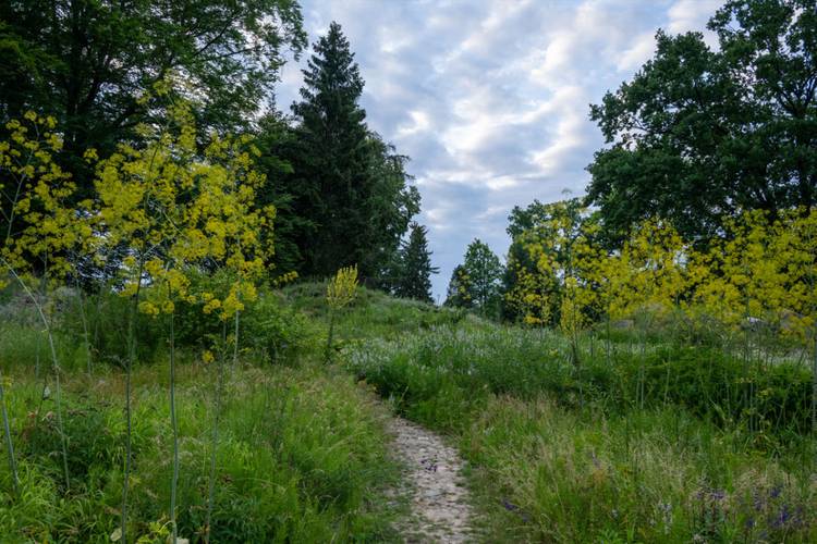Botanischer Garten