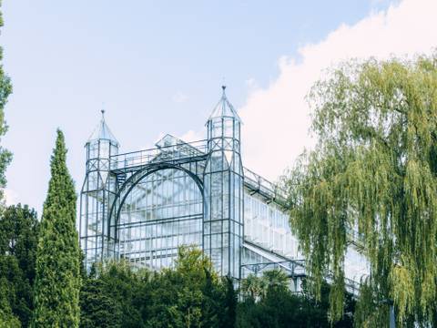 Botanischer Garten