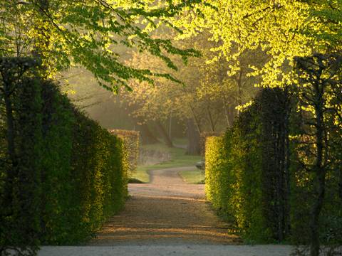 Heckentheater im Lustgarten Rheinsberg – Heckentheater im Lustgarten Rheinsberg