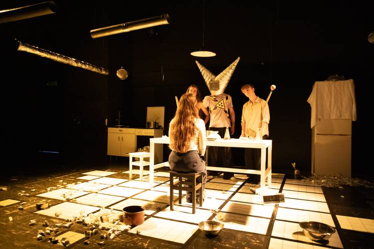 Karaluchy / Kakerlaken