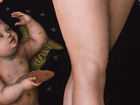 Lucas Cranach d. Ä., Venus und Amor als Honigdieb (Detail), nach 1537