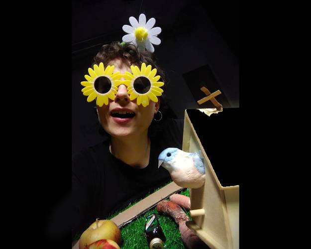 Kreationen I: Kleingartenkolonie / Holly Wood