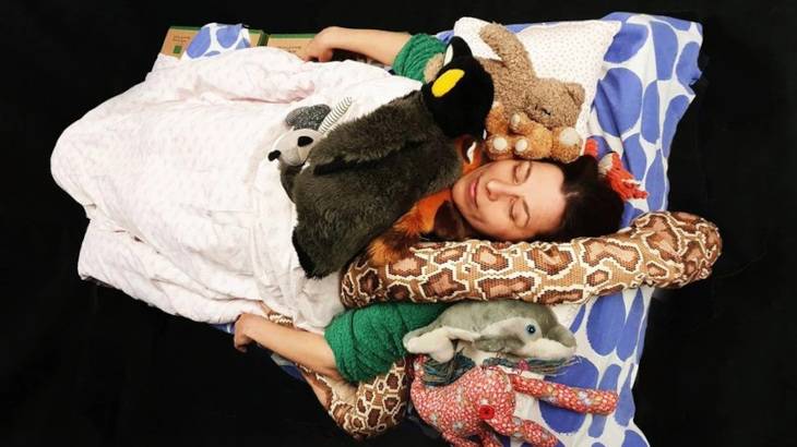 10 Lieder - sonst geh ich nicht ins Bett – Person liegt mit geschlossenen Augen auf gemusterten Kissen, umgeben von mehreren Stofftieren, darunter ein Pinguin, Affe und Elefant.