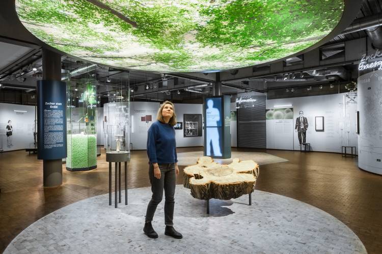 Zucker sind überall! Pflanzen, wie beispielsweise Bäume, bestehen aus der Zuckerverbindung Zellulose. – Eine junge Frau läuft durch den Ausstellungsbereich „Zucker sind überall“. An der Decke befindet sich ein großes hinterleuchtetes Foto. Darauf ist das grüne Blätterdach eines Waldes zu sehen. Am Fußboden befindet sich die Baumscheibe einer Pappel.