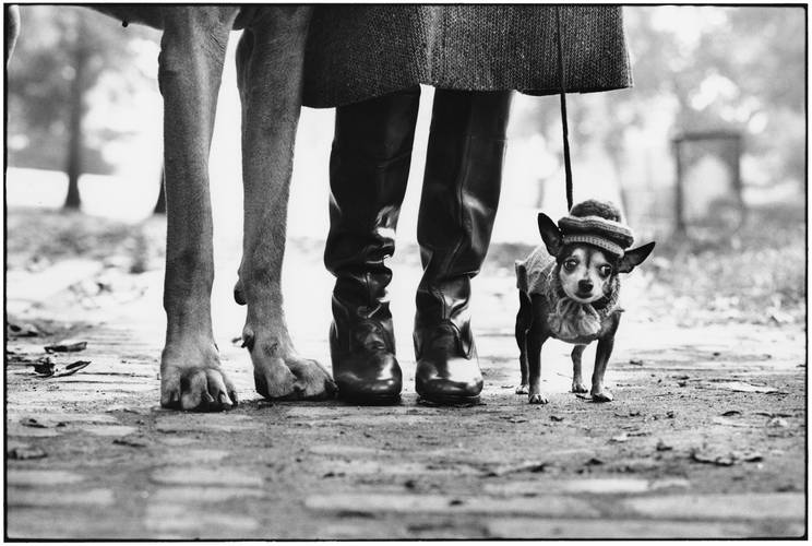 Felix, Gladys and Rover, New York, USA, 1974 © Elliott Erwitt. Magnum Photos / Die Magie der Straße. Meisterwerke der Street Photography aus dem Leica Archiv.