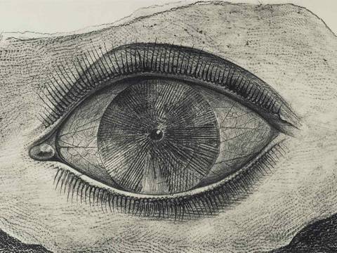 Max Ernst: Lichtrad / la roue de la lumière, aus: Histoire Naturelle, Blatt 29, 1926. Lichtdruck nach Frottage, 32,5 x 50 cm. Sammlung Würth