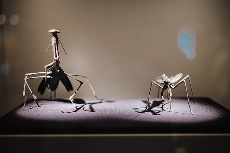 Peter Janssen Collection – Peter Janssen Collection