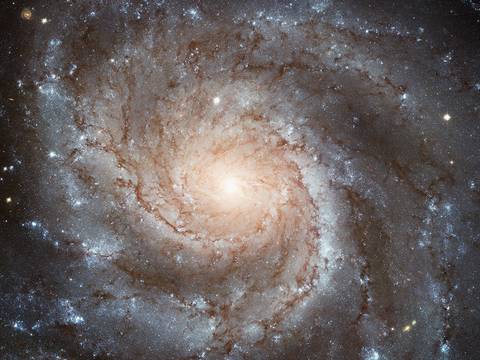 Spiralgalaxie – Spiralgalaxie