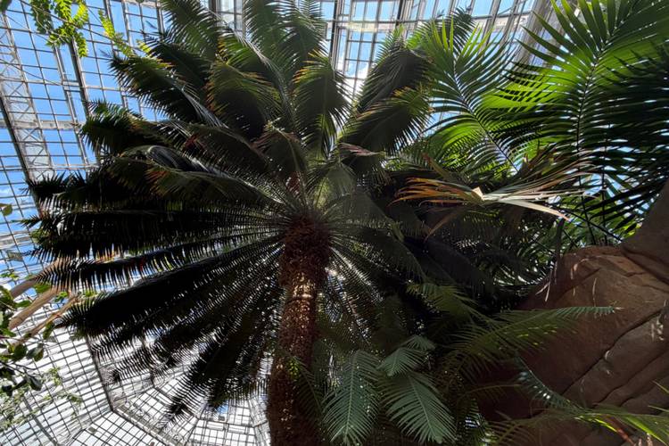 Botanischer Garten