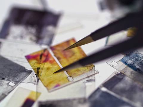 Miles Rufelds, It’s Not Brakhage, 2024, video, 54:39 min (video still) – Mehrere mikroskopische Objekttraeger, einer davon gelb mit roten Flecken; eine spitze Pinzette berührt diesen.
