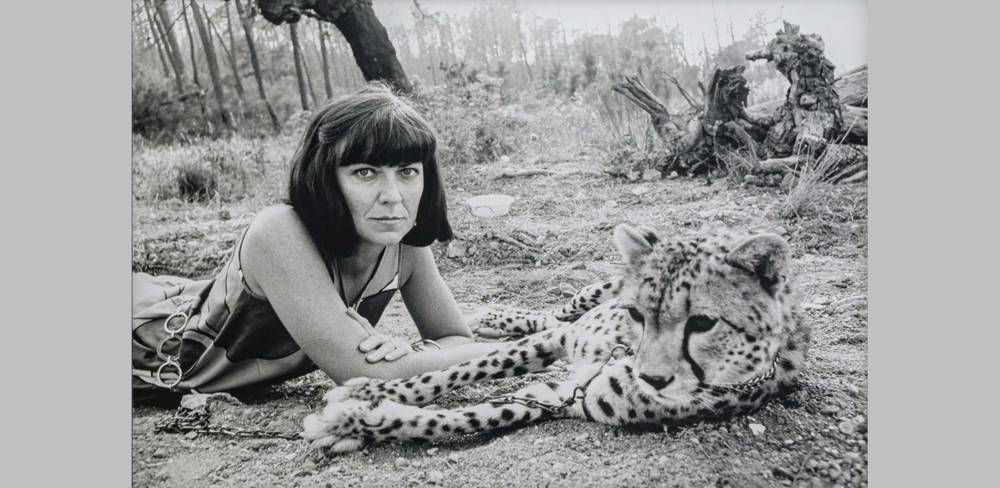 Helmut Newton, June with Cheetah, Ramatuelle 1976
