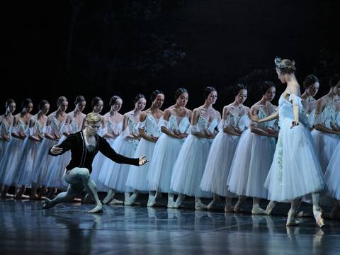 Giselle – Ballettszene mit einer männlich gelesenen Person kniend vor einer Reihe von Tänzer*innen in weißen Tutus; eine Tänzerin steht rechts.