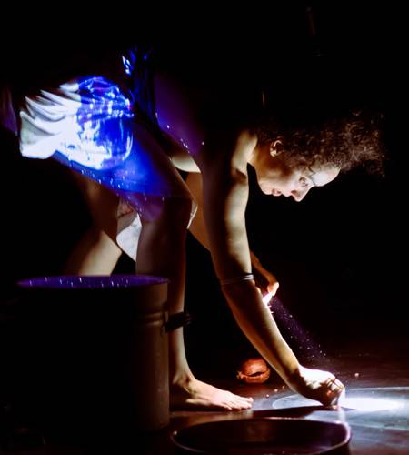 Kreationen III: Ordnung ist das halbe Leben / Metamorphosen / Memento Musca / in melle veritas / Tsuki