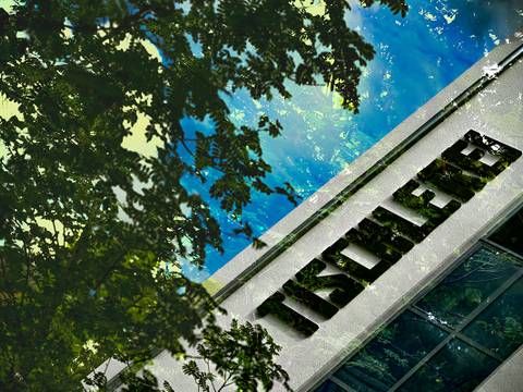 Waldesrauschen – Motiv: Georg Roither