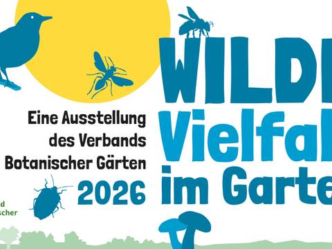 Banner Outdoorausstellung Wilde Vielfalt im Garten