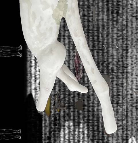 Das Nichts ist voller Körper, Detail 2026