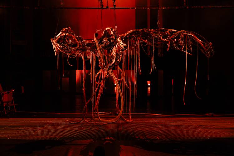 Foto: Diana Pfammatter – Großes kunstvolles Skelettobjekt aus Metall und Kabeln, das an Seilen hängt, beleuchtet von intensivem roten Licht vor einem dunklen Hintergrund.