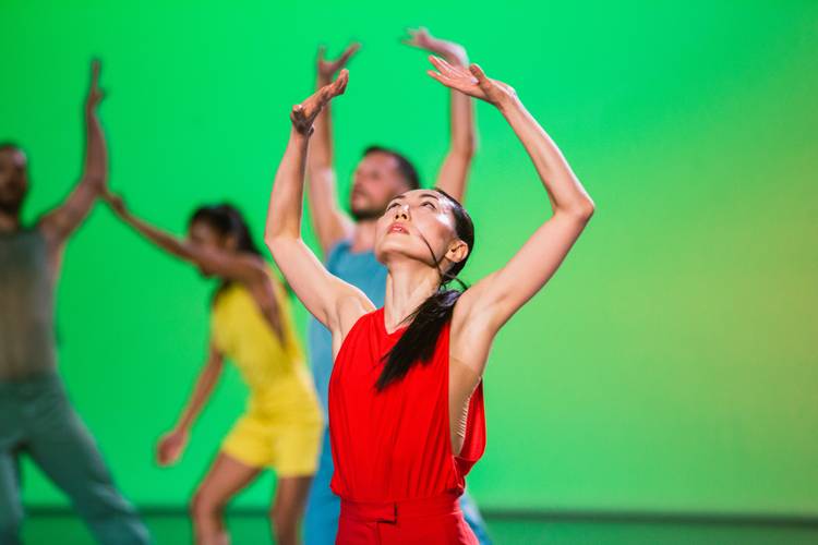 In C, Sasha Waltz & Guests, Terry Riley