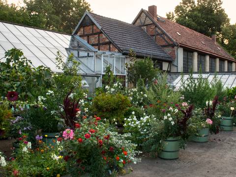 Lustgarten Rheinsberg, Parkgärtnerei – Parkgärtnerei im Lustgarten Rheinsberg, im Vordergrund Pflanzen in grünen Kübeln, im Hintergrund Gewächshaus und Orangerie