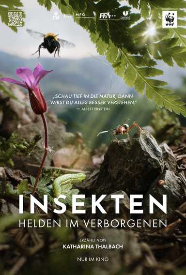 Filmplakat Insekten - Helden im Verborgenen