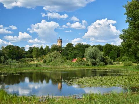 Park Babelsberg, Blick über den Kindermannsee Richtung Flatowturm – Park Babelsberg im Sommer, Blick über den Kindermannsee Richtung Flatowturm