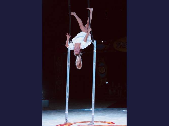 Scenic Circus: Diaries in Motion