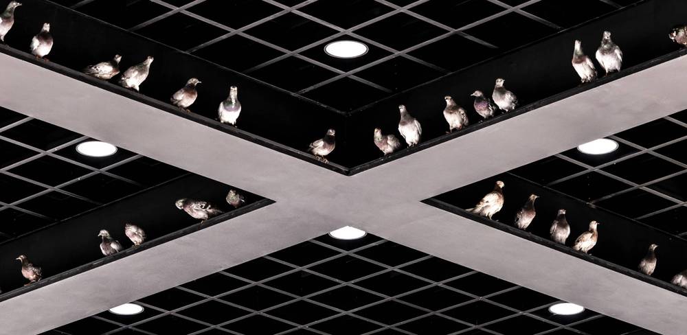 Maurizio Cattelan. NIGHT, Ausstellungsansicht, Neue Nationalgalerie, 2026