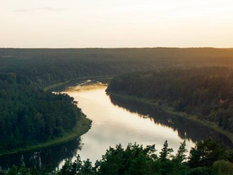  – Luftaufnahme eines Flusses, der sich durch einen dichten Wald schlängelt. Der Himmel ist leicht bewölkt, die Sonne geht oder steht kurz vor dem Aufgang.
