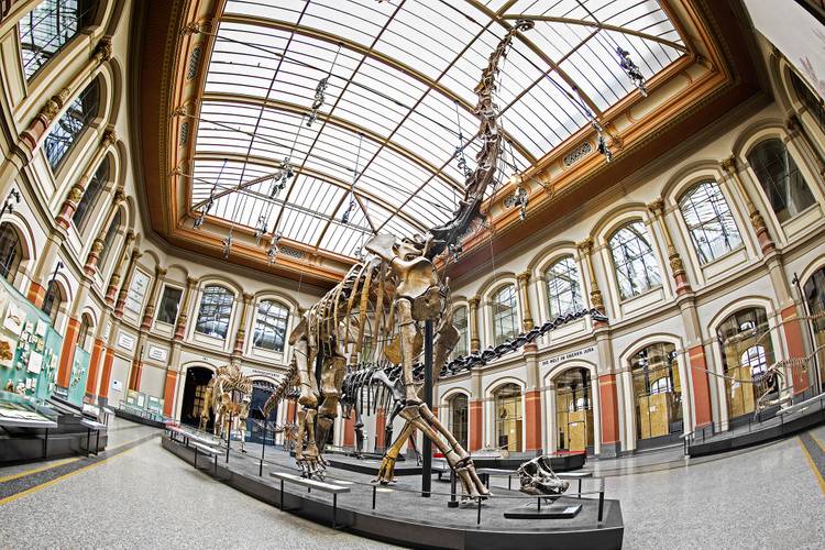 Sauriersaal – Dinosaurierskelett in einem großen Raum mit Glasdach und Säulen. Tafeln und Beschriftung im Hintergrund: "DIE WELT IM GROEN JURA".